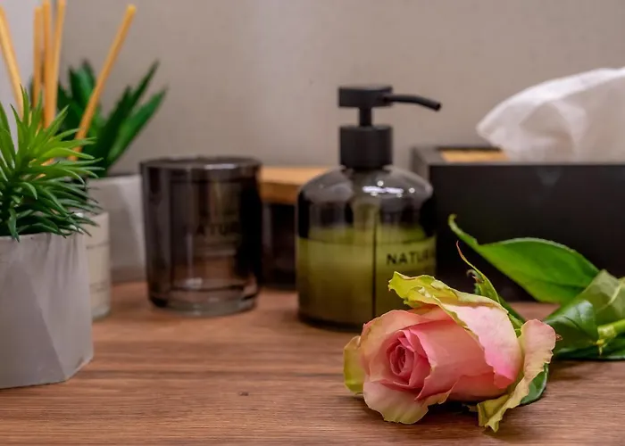 게스트하우스 Old Spalatrum Luxury 스플리트