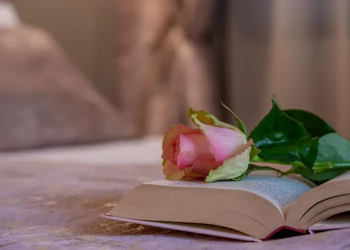 게스트하우스 Old Spalatrum Luxury 스플리트