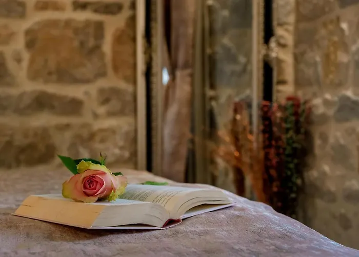 招待所 Old Spalatrum Luxury