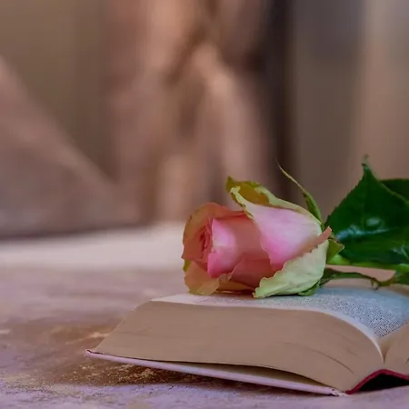 Pensión Old Spalatrum Luxury Split